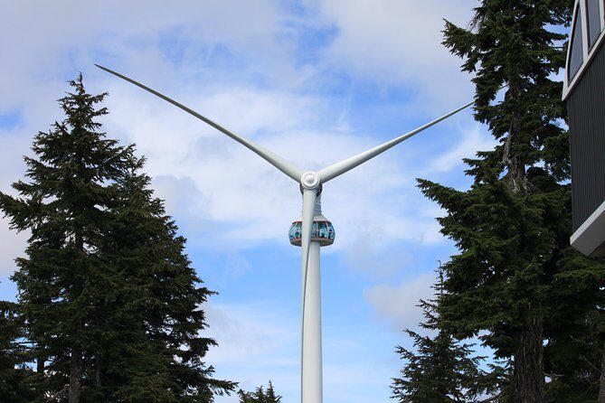 Private Transfer, Vancouver, BC to Vancouver Cruise Ship Terminal, VIP SUV - Final Thoughts