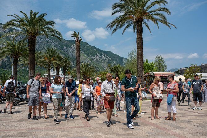 Private Transfer: Zadar Airport  The Garden Croatia (Tisno/Murter/Jezera) - Authentic Feedback and Considerations