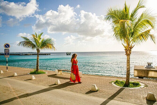 Private Transfers between Bonaire airport and any local address - FAQ