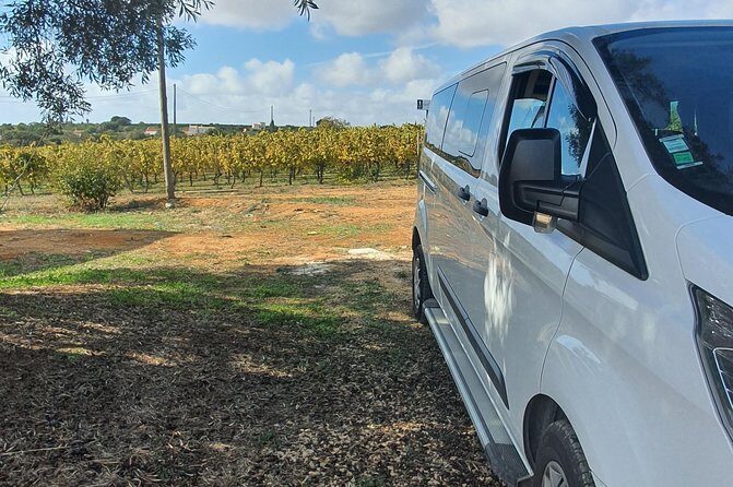 Private transfers between Faro and Portimão/Praia da Rocha - Authentic Perspectives: Reviews from Real Travelers