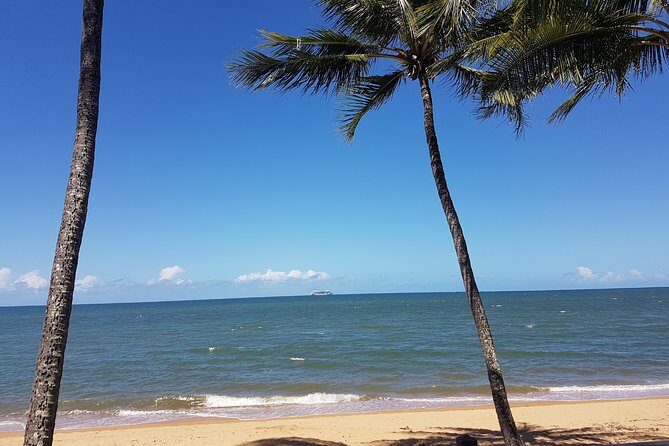 Private Transfers - Cairns Airport to Palm Cove - Possible Drawbacks and Considerations