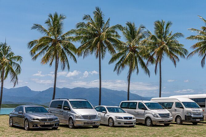Private Transfers - Cairns Airport to Palm Cove - Who Would Benefit Most from This Service?