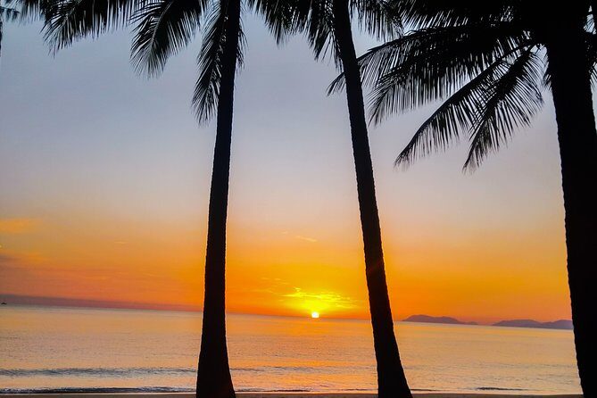 Private Transfers Cairns Airport to Port Douglas - Who Will Benefit Most?