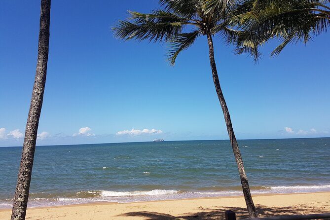 Private Transfers Cairns Airport to Port Douglas - FAQ: Private Transfers Cairns Airport to Port Douglas