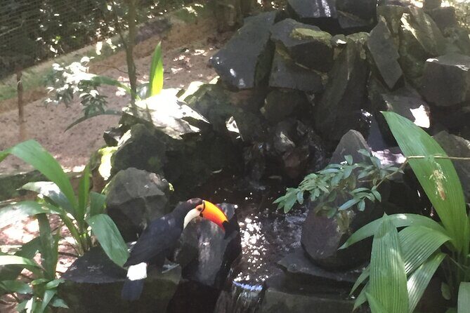 Private Transfers Full Day Iguazú Falls - FAQ