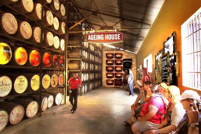 Private transport Combo to Pelican Bar and Appleton Rum factory - Final Thoughts