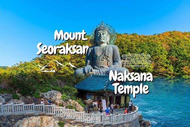 Private transport for 1 day Seoul tour - Pricing and Value