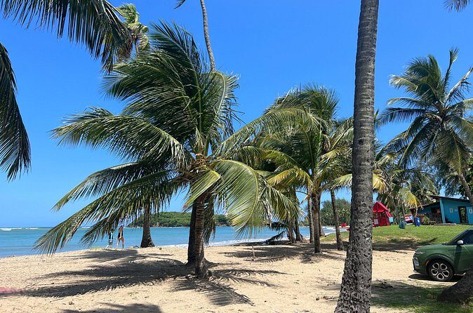 Private Transport from SanJuan to Rio Grande Luquillo Puerto Rico - Why This Transfer Stands Out