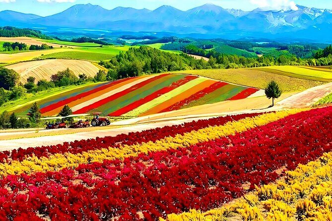 Private Transport in Hokkaido with English Speaking Driver - Exploring Hokkaido with a Private Driver: What You Can Expect