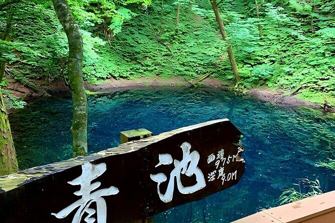 Private Transport in Hokkaido with English Speaking Driver - Final Thoughts: Is It Worth It?