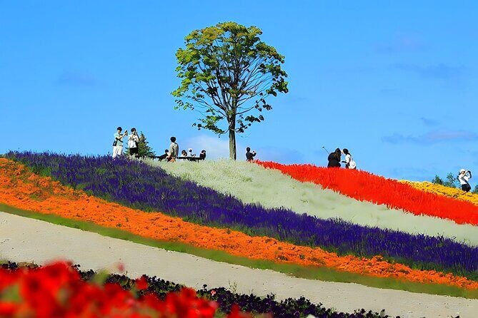 Private Transport in Hokkaido with English Speaking Driver - FAQ