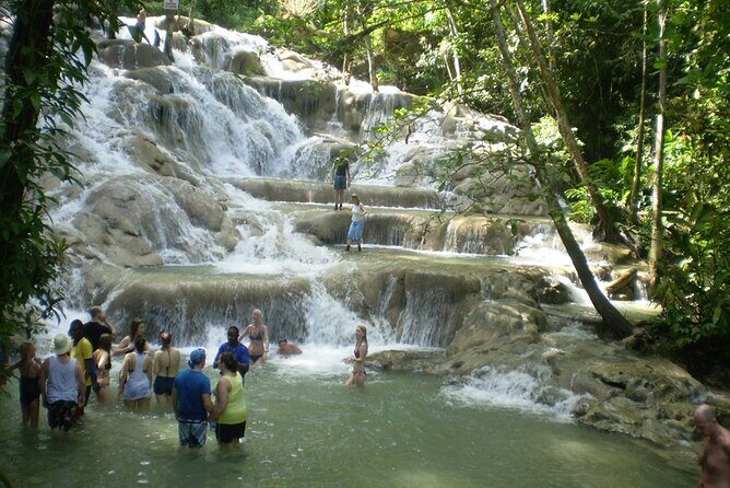 Private Transport only, Zipline and Dunns River from Montego Bay - Private Transport Only, Zipline and Dunns River from Montego Bay