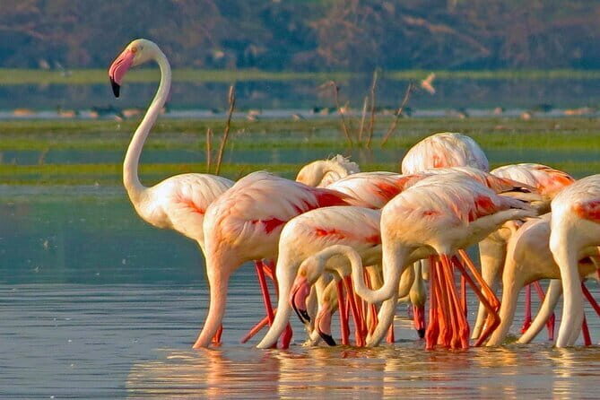 Private Transport Service from Sri Lanka - Frequently Asked Questions