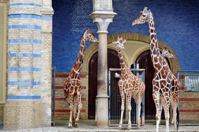 Private Transport to Berlin Zoo with Skip-the-line Ticket - Key Points