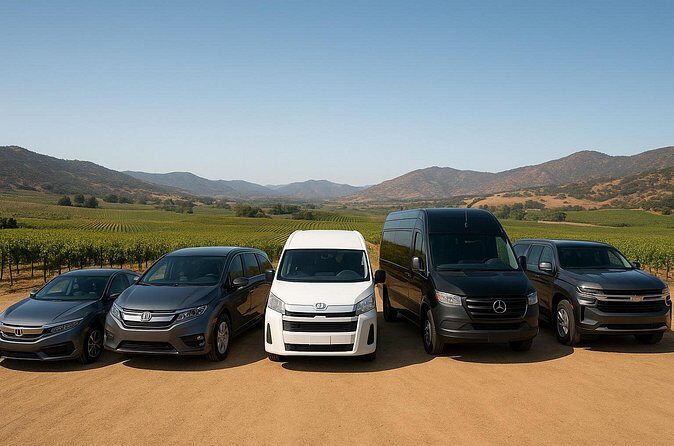 Private Transport Valle Guadalupe Worry Free 10H - FAQ