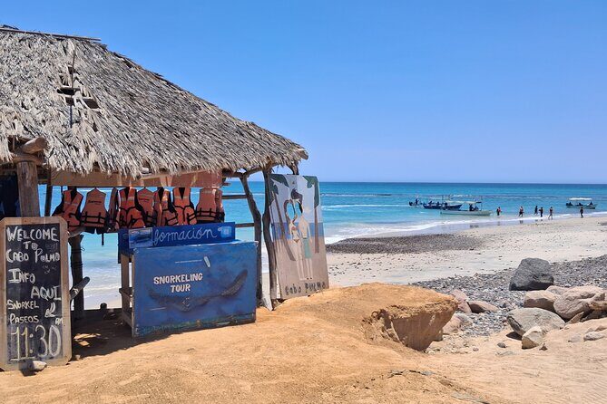 Private Transportation at VAN Airport Los Cabos - Cabo Pulmo Park - Key Points