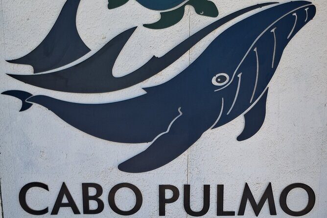 Private Transportation at VAN Airport Los Cabos - Cabo Pulmo Park - FAQs