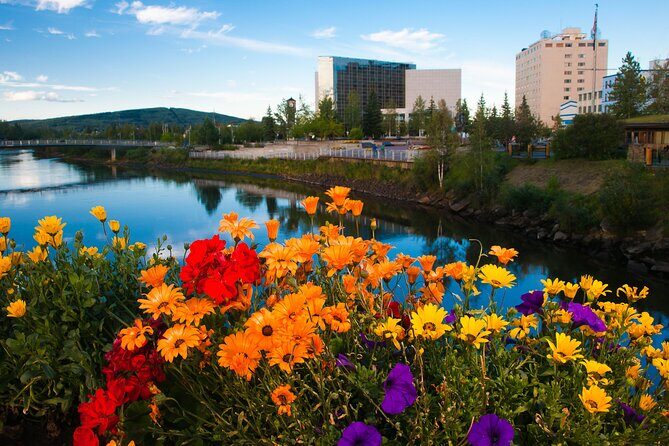 Private Transportation Between Fairbanks and Denali National Park - Key Points