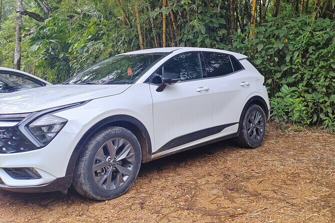 Private Transportation from Mariscal Sucre Airport to Quito - The Sum Up: Who Should Consider This Service?