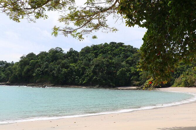 Private transportation from San José airport to Manuel Antonio - A detailed look at your transfer from San José to Manuel Antonio