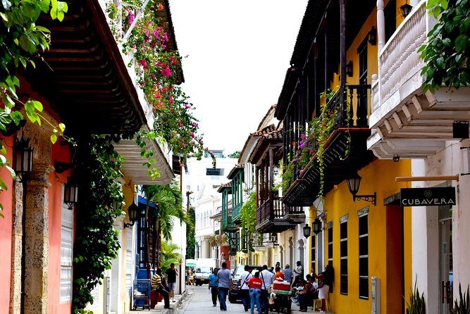 Private transportation from Santa Marta city to Cartagena - The Complete Experience: Santa Marta to Cartagena in Comfort and Style