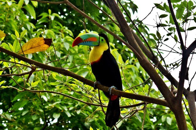 Private transportation from Santa Marta to Minca police station - An In-Depth Look at the Santa Marta to Minca Private Transfer