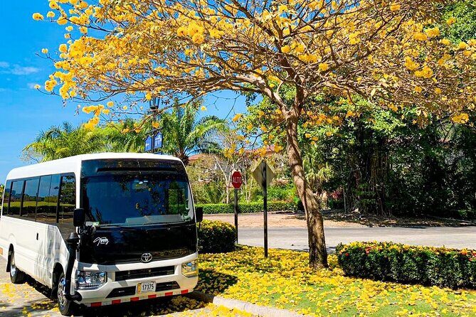 Private transportation: Jaco to San José or vice versa - An in-depth look at this private transfer service from Jaco to San José