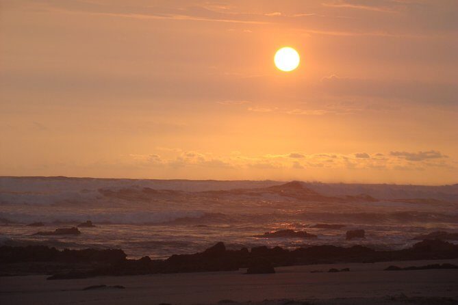 Private Transportation San Jose Airport to Nosara, Guanacaste - Key Points