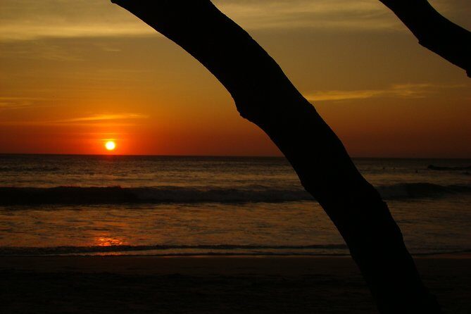 Private Transportation San Jose Airport to Nosara, Guanacaste - Who Will Love This Service?