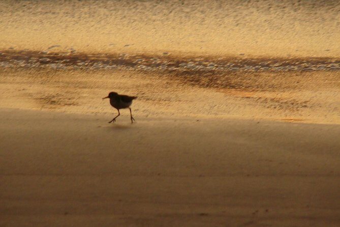 Private Transportation San Jose Airport to Nosara, Guanacaste - FAQ