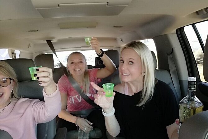 Private transportation (SAN JOSE DEL CABO) - How This Transfer Stacks Up