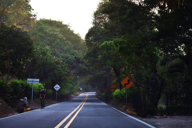 Private transportation service from Cartagena to Palomino - Key Points