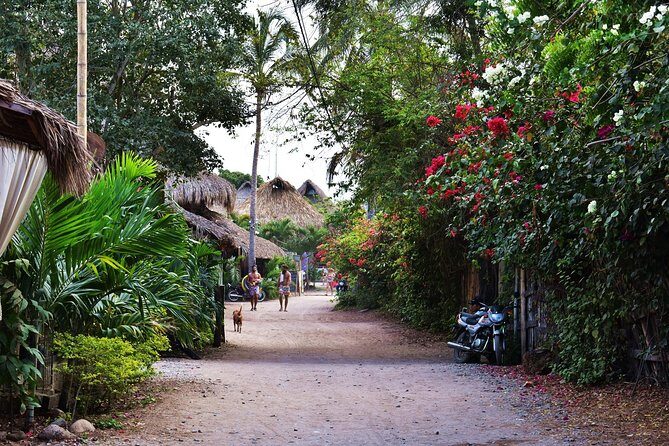 Private transportation service from Cartagena to Palomino - Detailed Review of the Private Transfer from Cartagena to Palomino