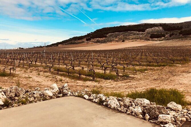 Private Transportation to Ribera del Duero by Minivan - In-Depth Review of the Private Ribera del Duero Tour