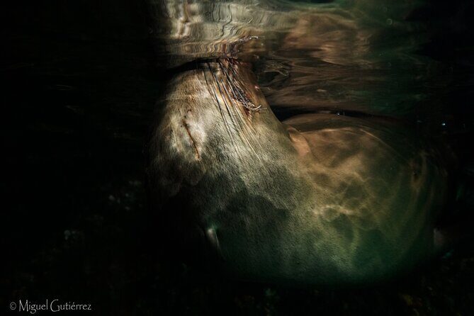 Private Trip Espiritu Santo Island - A Closer Look at the Espiritu Santo Private Tour