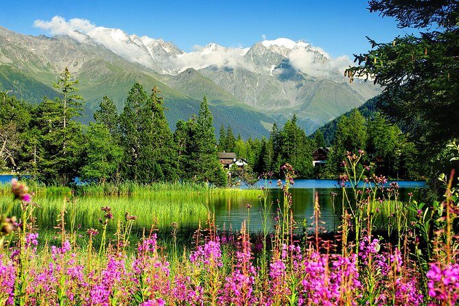 Private Trip from Geneva to Swiss Riviera Montreux & Chamonix - Who Will Appreciate This Tour?