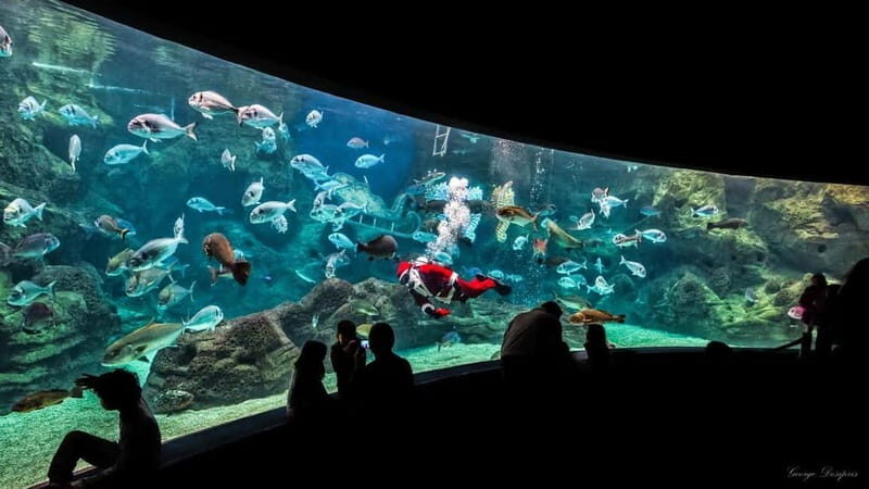 Private Trip From Rethymno to Dinosauria Park & Cretaquarium - Final Thoughts: Is It Worth It?