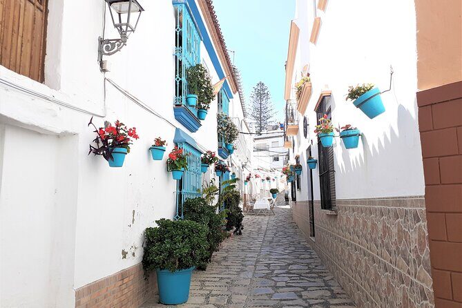 Private Trip in Gibraltar and Estepona from Marbella - The Details That Make This Tour Stand Out