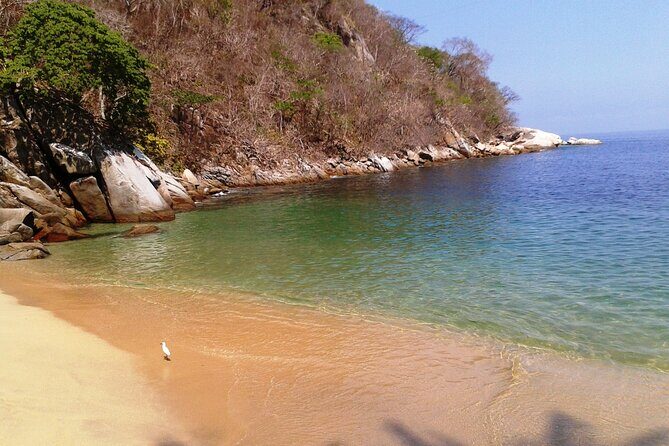 Private trip: snorkeling at Los Arcos & Colomitos beach - Who Will Love This Tour?