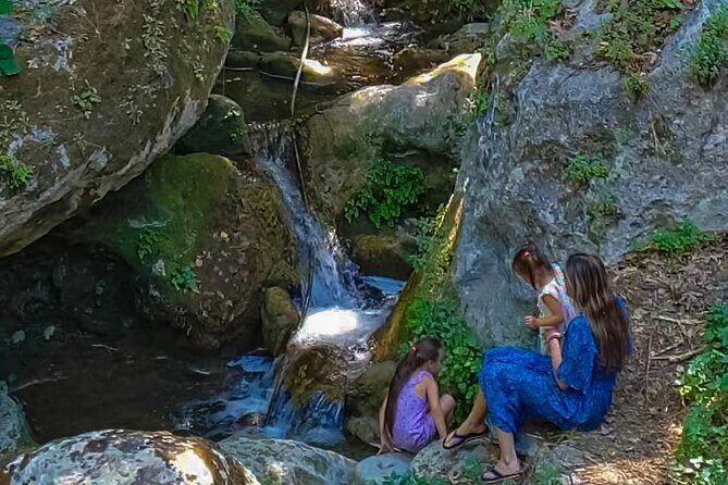 Private Trip Through the Heart of Crete, Picnic & Wine Tasting - The Journey Through Crete’s Heart: An In-Depth Review