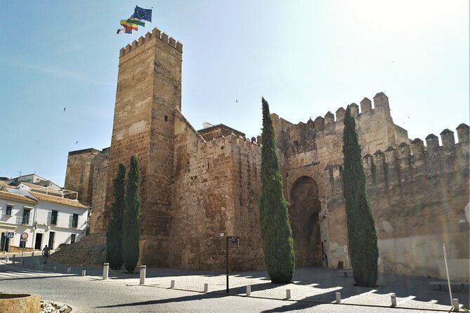 Private trip to Carmona from Seville: 5000 years of history - Practical Details