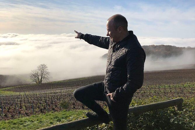 Private Trip: Tour in Epernay & Champagne Tastings from Paris - Vineyard Visit and Tasting