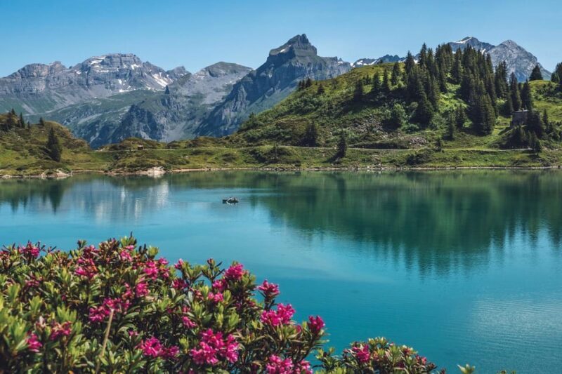 Private trip: Zurich to Mt. Titlis - rotary, ice cave, cliff - Value for Money and Practical Considerations