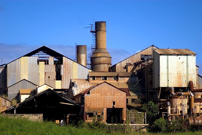 Private Tropics of Maui & Rainforest Valley: Kahului, Wailea, Kihei pick up - Key Points