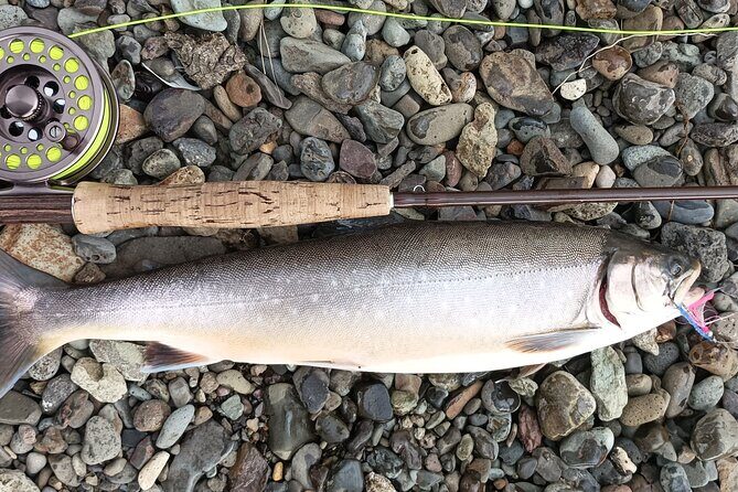 Private Trout and Char Fishing in Icelandic Serenity Experience - FAQ