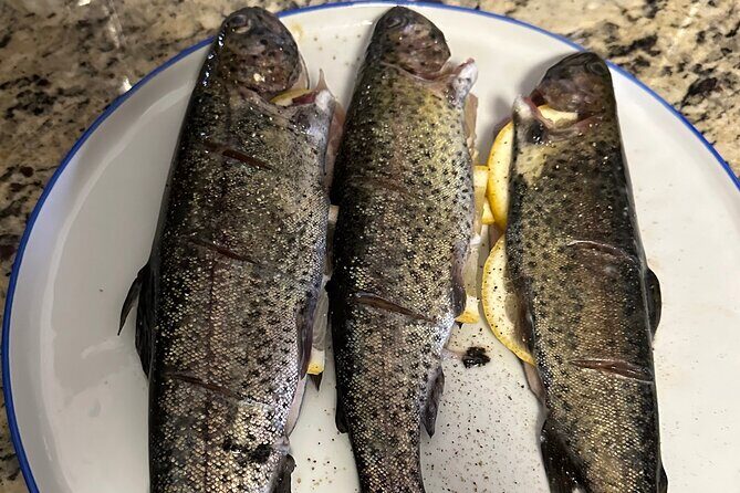 Private Trout Fishing Excursion in Virginia - A Private Trout Fishing Excursion in Virginia: A Deep Dive