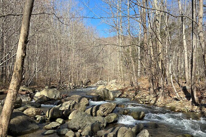 Private Trout Fishing Excursion in Virginia - Summary