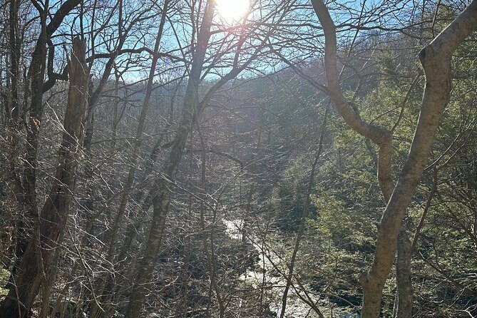 Private Trout Fishing Excursion in Virginia - Frequently Asked Questions