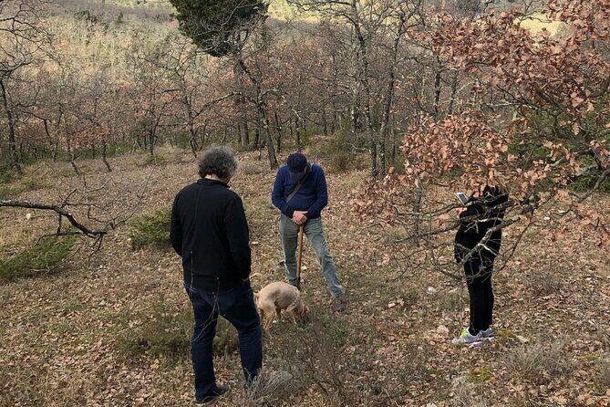 Private Truffle Hunt in Tuscany - Key Points