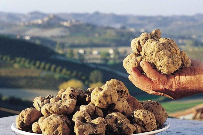 Private Truffle Hunt in Tuscany - Final Thoughts: Is This Tour Worth It?